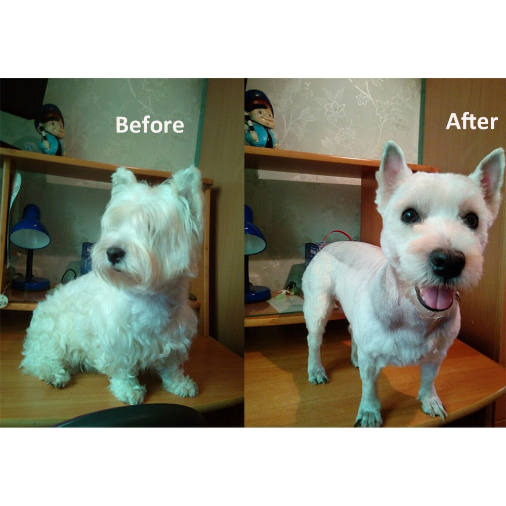Professional Pet Hair Trimmer for Dogs and Cats